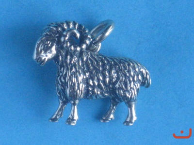 Widder 6138