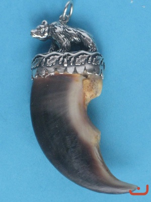 Eisbärenkralle