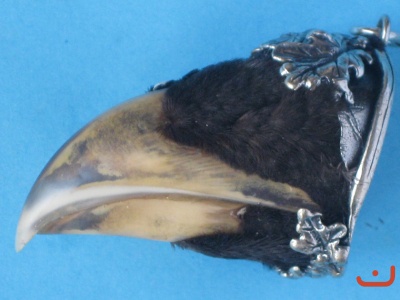 A-Auerhahn 01