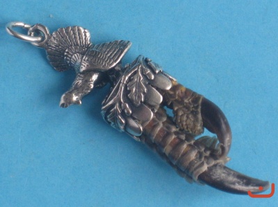 Auerhahnkralle 5437
