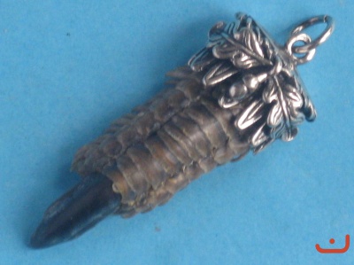 Auerhahnkralle 5427