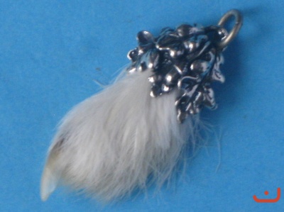 Schneehuhnkralle 6124