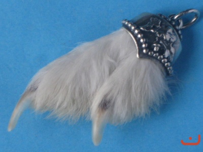 Schneehuhnkralle 6142