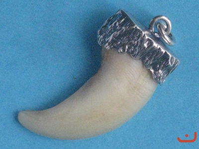 Pumakralle 6449