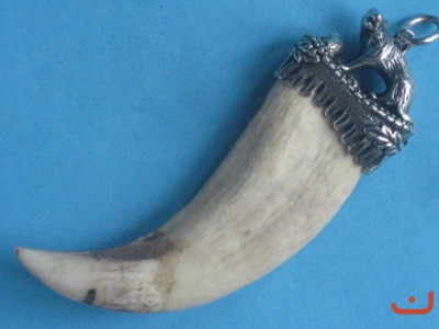 B-Grizzlybärenzahn 6698