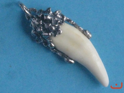 C.Wolfszahn 4959