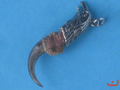 Adlerkralle 81130