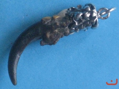 Adlerkralle 81160