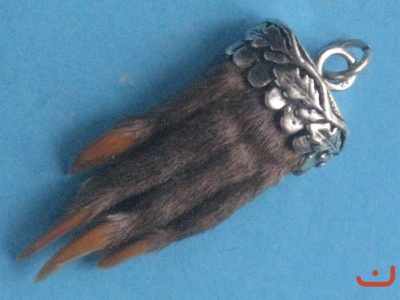 X-Bisampfote 3128