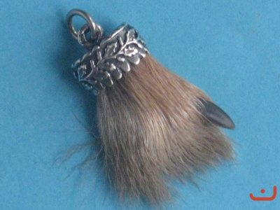 Hasenkralle 5824