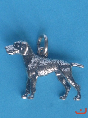 Jagdhund 6132