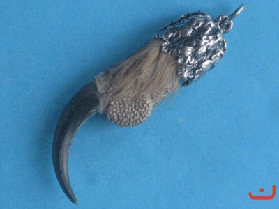 Uhukralle 85156