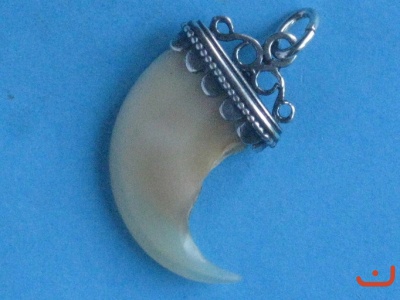 Pumakralle 6448