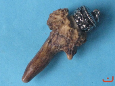 X Kümmerer 8511