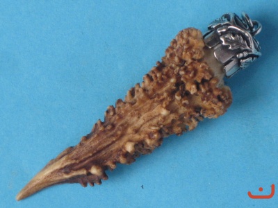 X Kümmerer 8527