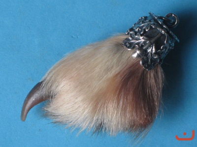 Timberwolfskralle 11