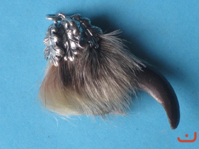 Timberwolfskralle 24