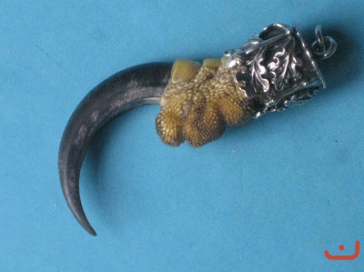 Adlerkralle 82310