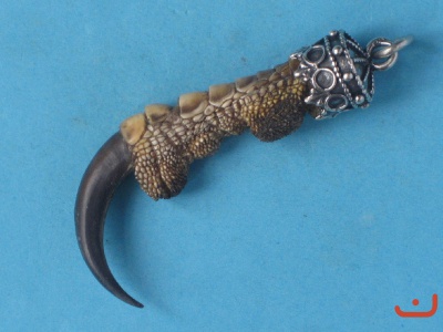 Adlerkralle 82140