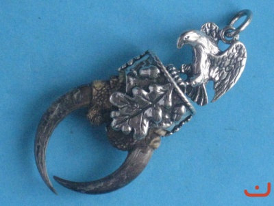 Greifvogelkrallen 8378