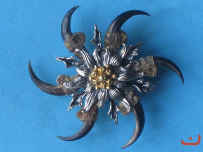 Greifvogelkrallen 8805