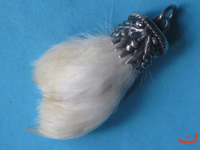 Schneehuhnkralle 6144