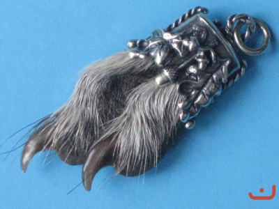 Waschbärenpfote 3534