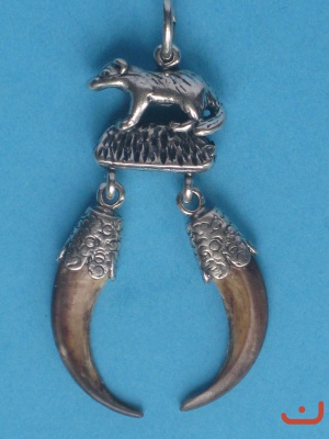 Dachskrallen 5639