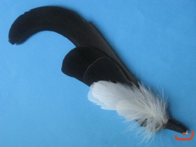Birkhahnfeder A 14