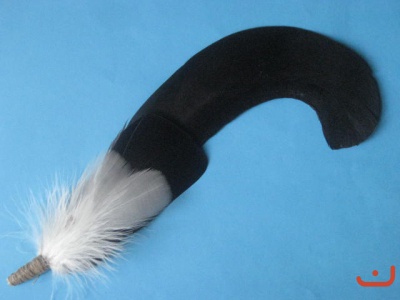 Birkhahnfeder A 38