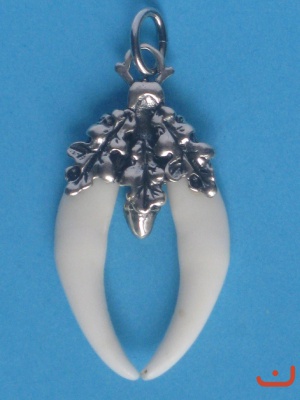 Fuchszähne 4829