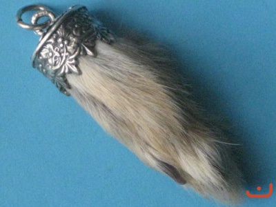 Hasenpfote 5034