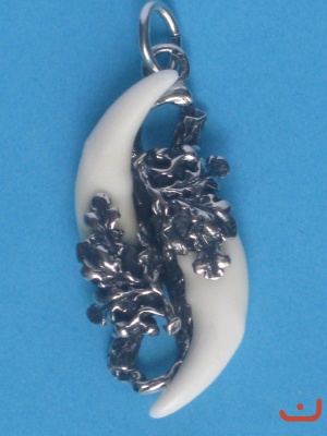 Fuchszähne 4832