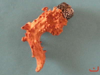 X Kümmerer 8553