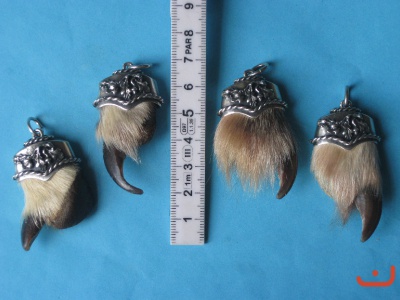 Timberwolfskralle 001