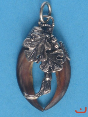 Dachskrallen 5638