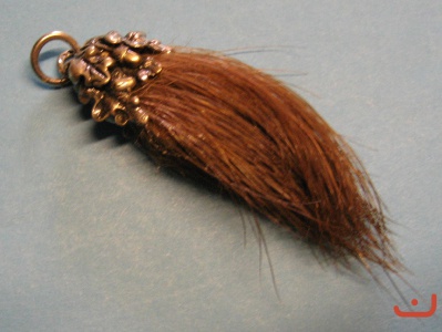 C Braunbärenhaare 03