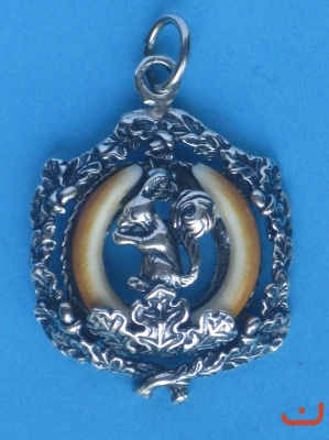 Nagerzähne 4040