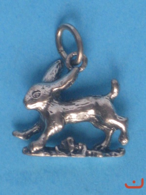 Hase 6116