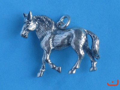 Pferd 6154