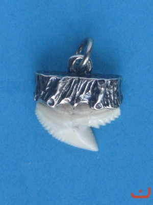 Haizahn 3724