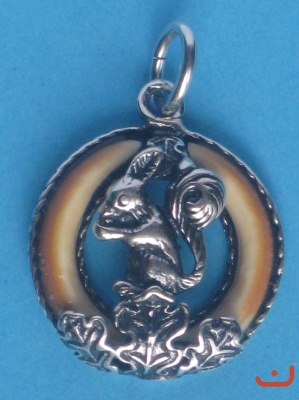 Nagerzähne 4026