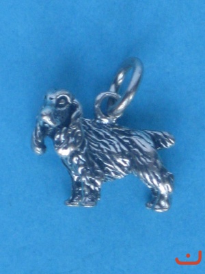 Spaniel 6116