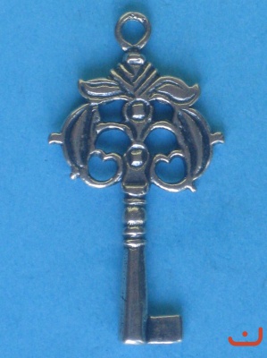 Schlüssel 6118