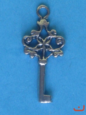 Schlüssel 6116