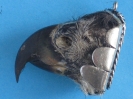 exklusive Trophäen