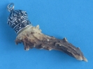 X Kümmerer 8501