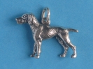 Jagdhund 6133