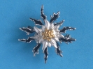 Edelweiß Brosche B-3037